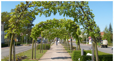 Appartement Heideweg 1